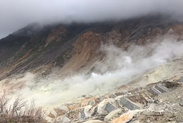 大涌谷の写真・動画_image_362192