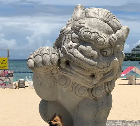 恩納海浜公園ナビービーチの写真・動画_image_362446