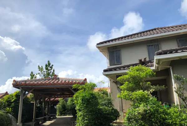 花人逢の写真・動画_image_362449