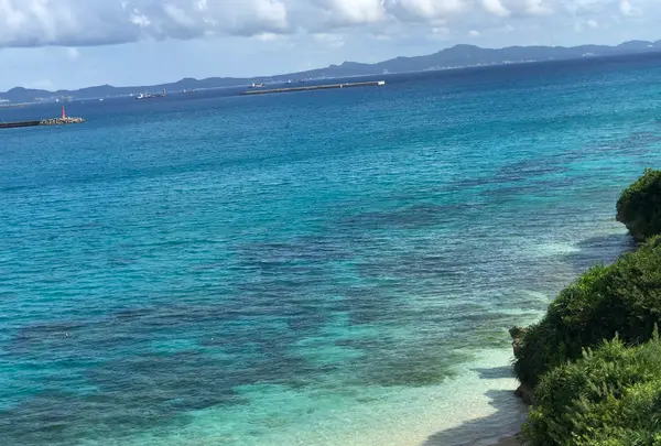 アンチ浜の写真・動画_image_362454