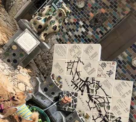 やむちん通りの写真・動画_image_362534