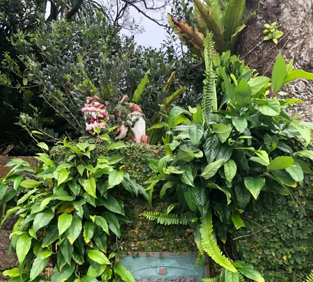 しむじょうの写真・動画_image_362613