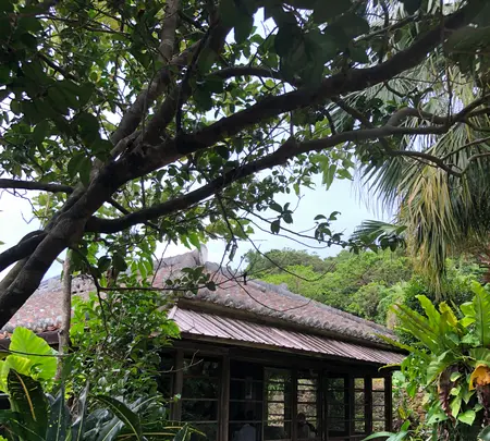 しむじょうの写真・動画_image_362614