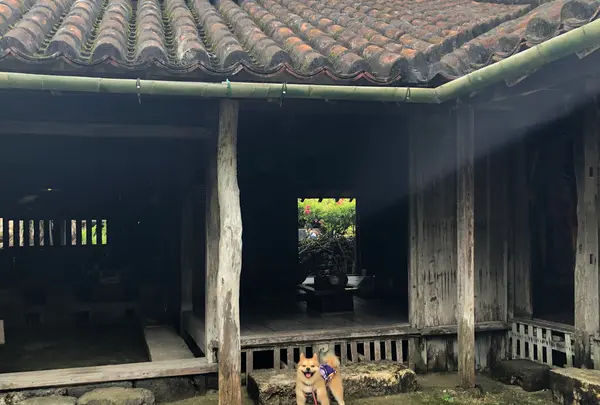 琉球村の写真・動画_image_362716
