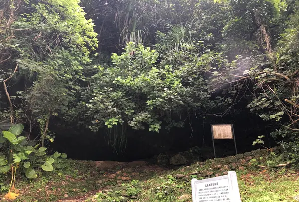 仲泊遺跡の写真・動画_image_362721