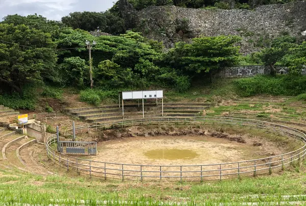 安慶名城跡闘牛場の写真・動画_image_363016