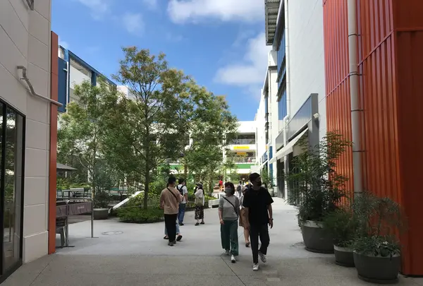 横浜ベイサイドマリーナの写真・動画_image_363018