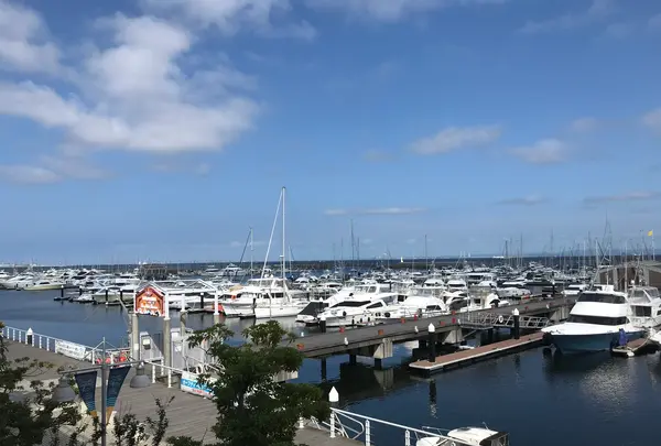 横浜ベイサイドマリーナの写真・動画_image_363046