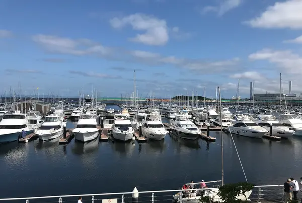 横浜ベイサイドマリーナの写真・動画_image_363047