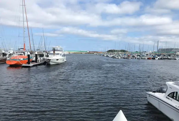 横浜ベイサイドマリーナの写真・動画_image_363053