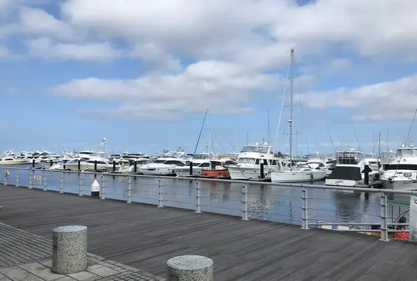 横浜ベイサイドマリーナの写真・動画_image_363056