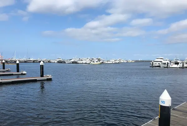 横浜ベイサイドマリーナの写真・動画_image_363058