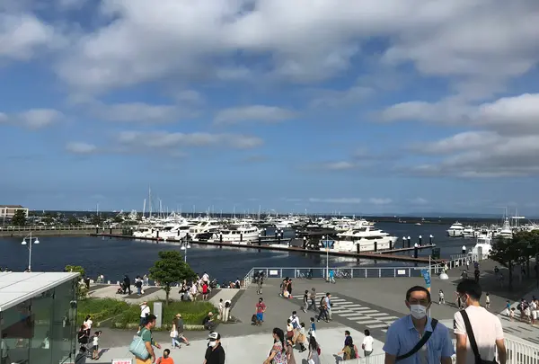 横浜ベイサイドマリーナの写真・動画_image_363065