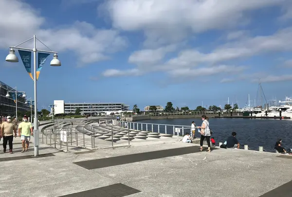 横浜ベイサイドマリーナの写真・動画_image_363066