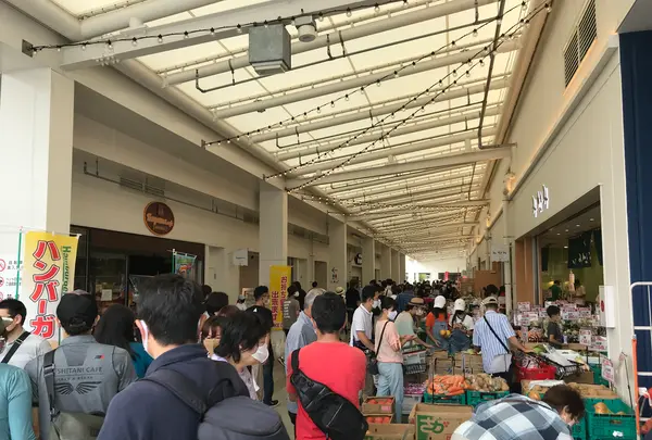 横浜ベイサイドマリーナの写真・動画_image_363069