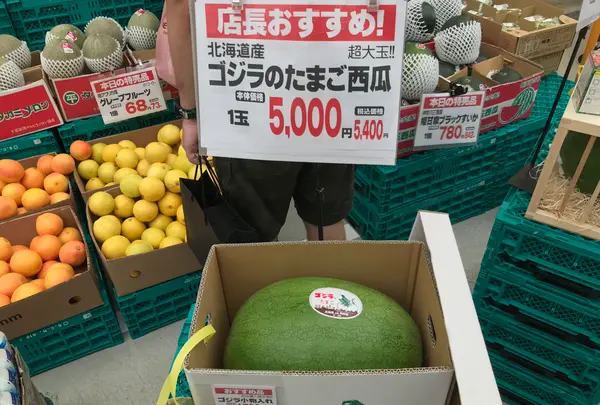 横浜ベイサイドマリーナの写真・動画_image_363070