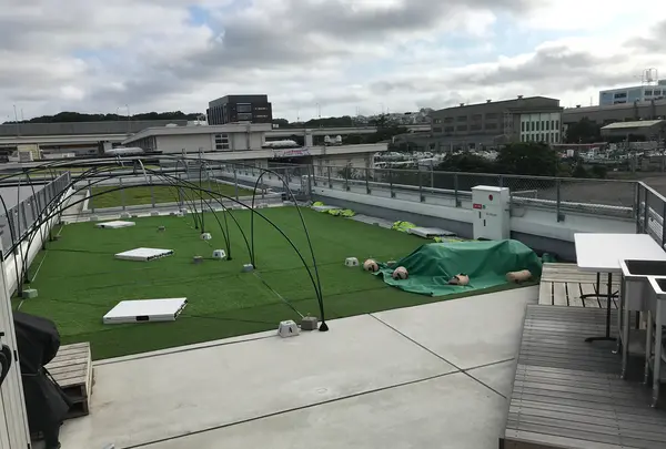 横浜ベイサイドマリーナの写真・動画_image_363077