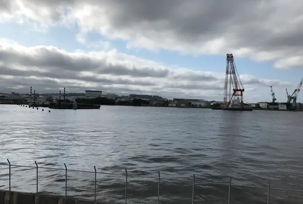 横浜ベイサイドマリーナの写真・動画_image_363078