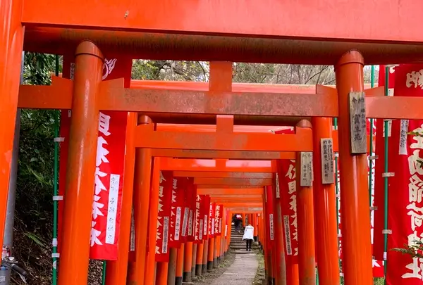 佐助稲荷神社の写真・動画_image_363147