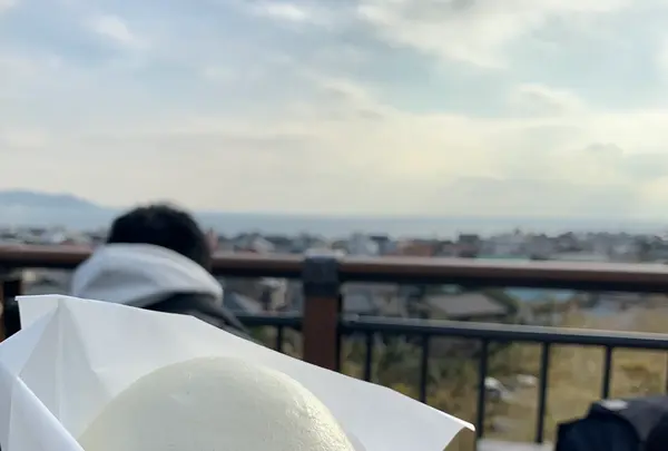 長谷寺の写真・動画_image_363151