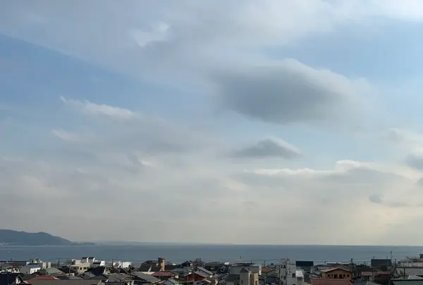 長谷寺の写真・動画_image_363152
