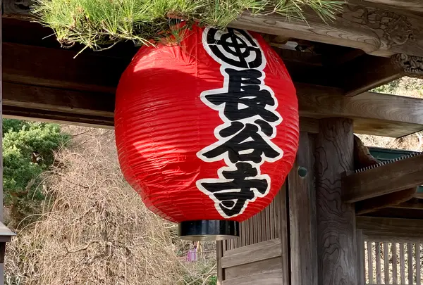 長谷寺の写真・動画_image_363153