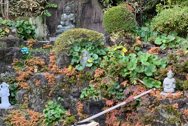 長谷寺の写真・動画_image_363154