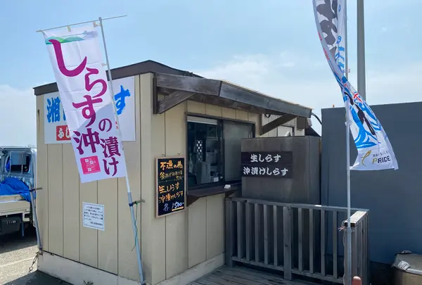 大磯港 ふじ丸 湘南しらす直売所の写真・動画_image_363160