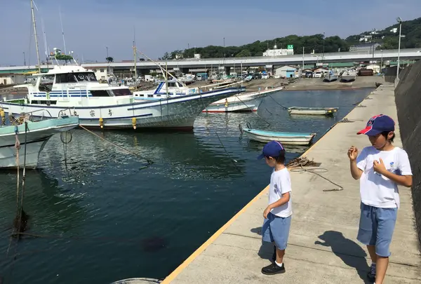 大磯港 東堤防の写真・動画_image_363166