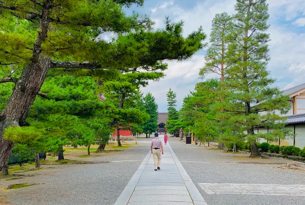 妙心寺の写真・動画_image_363501