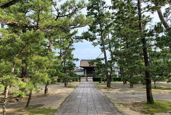 妙心寺の写真・動画_image_363502