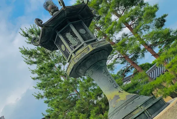 妙心寺の写真・動画_image_363509