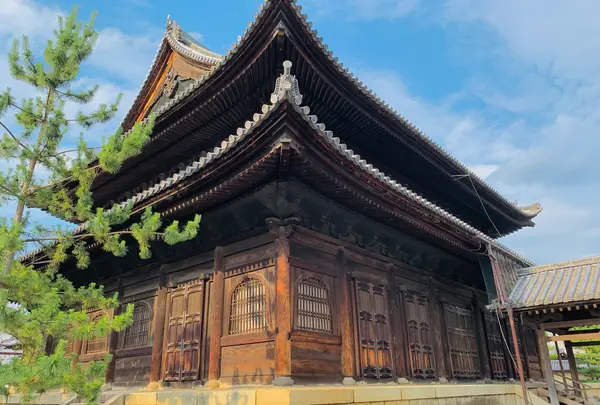 妙心寺の写真・動画_image_363516