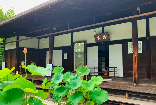 退蔵院の写真・動画_image_363517