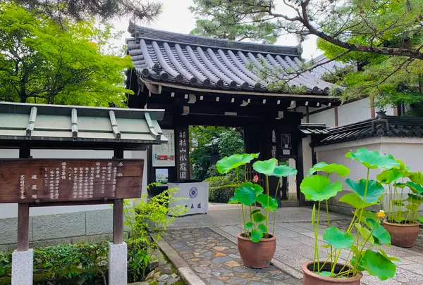 退蔵院の写真・動画_image_363520