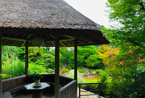 退蔵院の写真・動画_image_363533