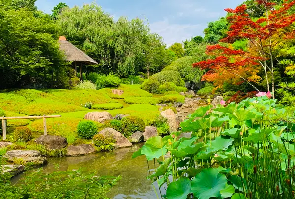 退蔵院の写真・動画_image_363538