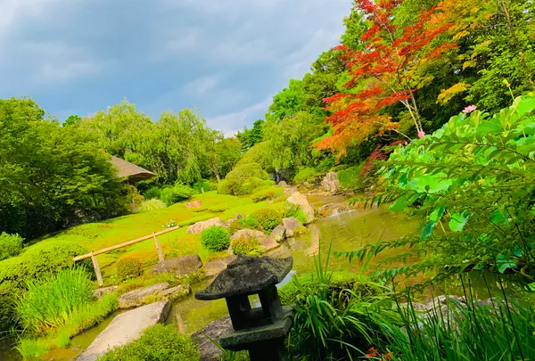 退蔵院の写真・動画_image_363541