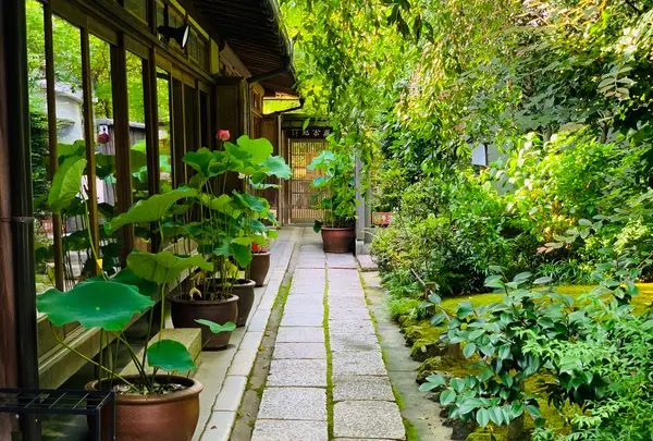 退蔵院の写真・動画_image_363542