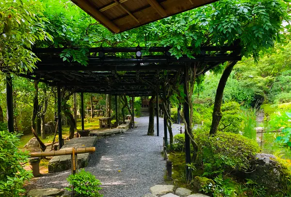 退蔵院の写真・動画_image_363543