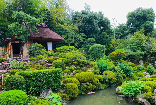 等持院の写真・動画_image_363841