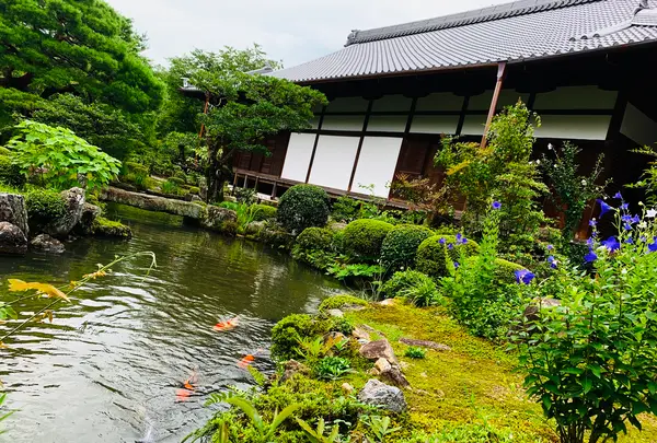 等持院の写真・動画_image_363842