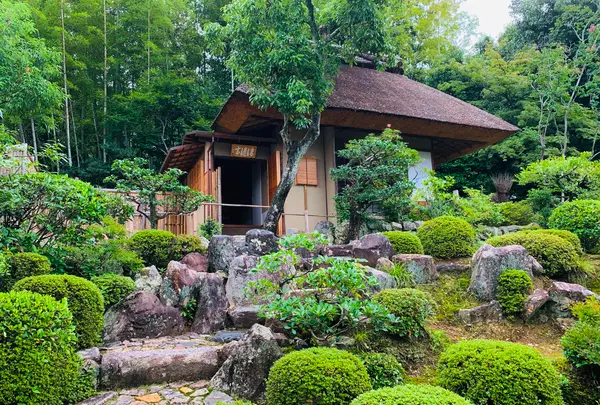 等持院の写真・動画_image_363843