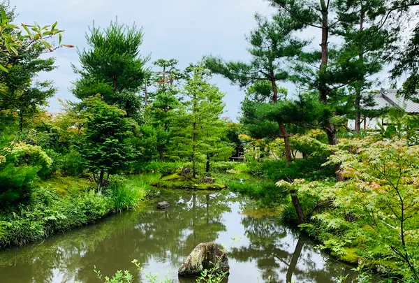 等持院の写真・動画_image_363846