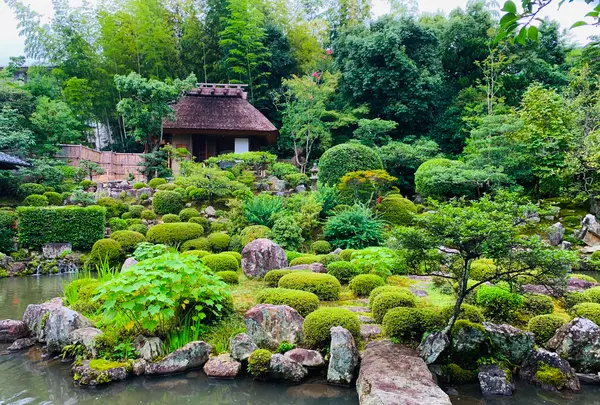 等持院の写真・動画_image_363847