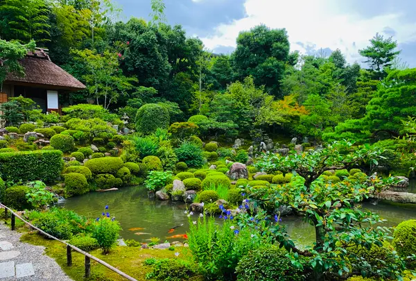 等持院の写真・動画_image_363848