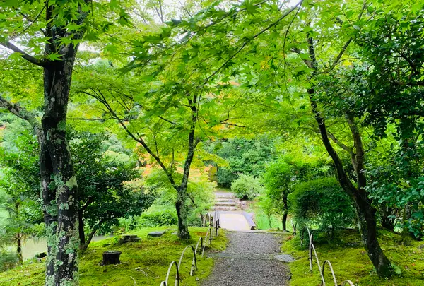 等持院の写真・動画_image_363849