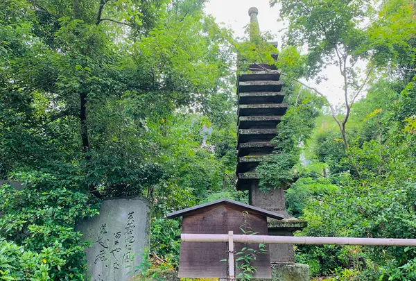 等持院の写真・動画_image_363850