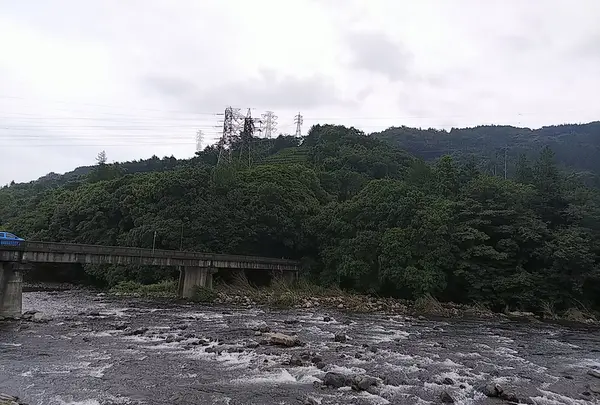 小田原漁港の写真・動画_image_363923