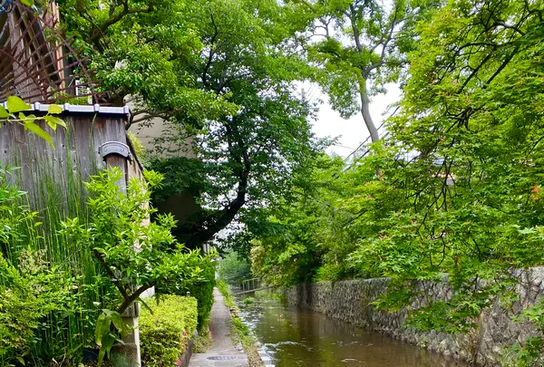 高瀬川の写真・動画_image_364113